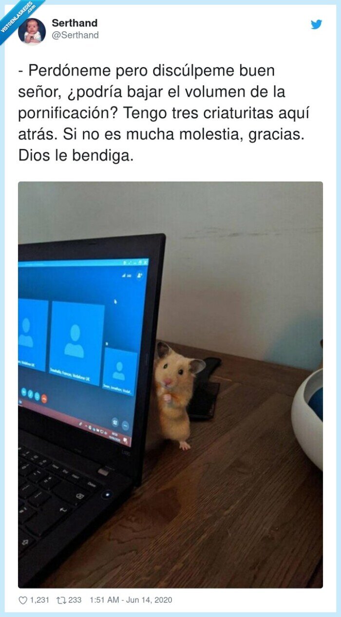 hamster,ordenador,criaturitas,molestia