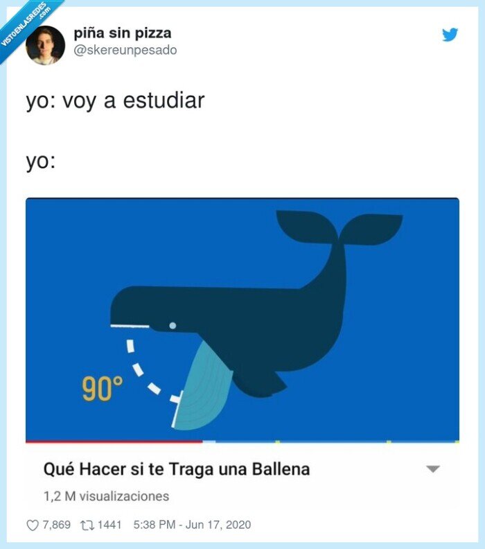 estudiar,despistarse,ballena