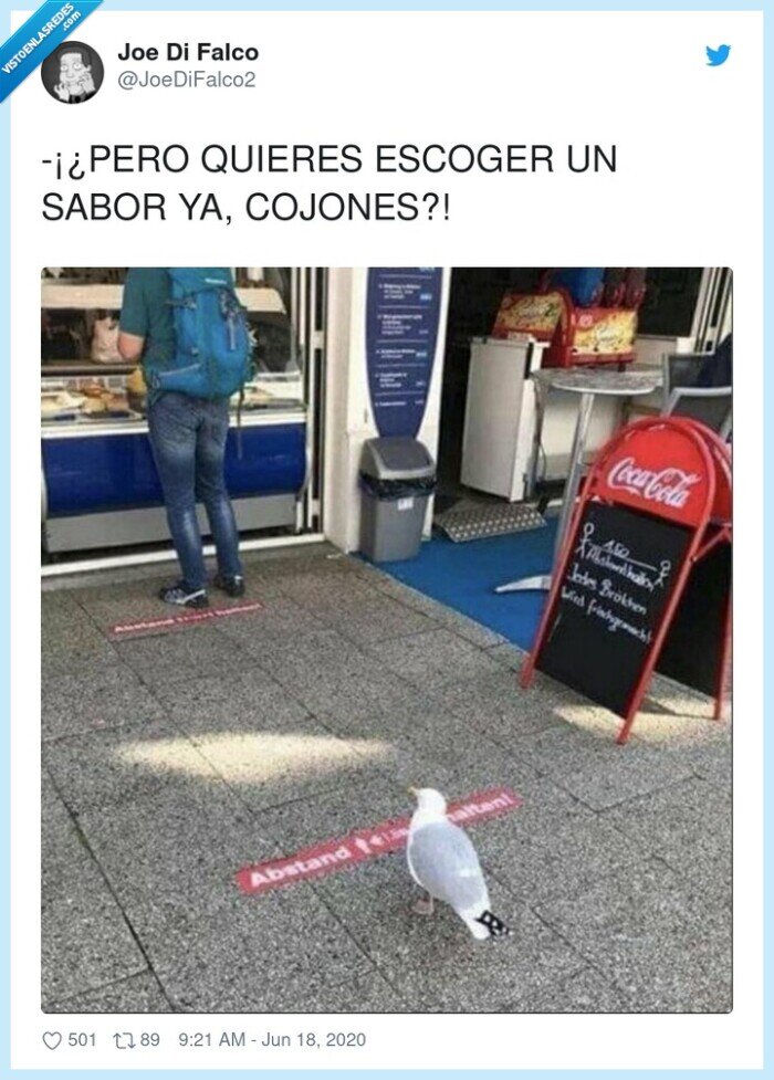gaviota,esperar,turno,distancia social,coronavirus
