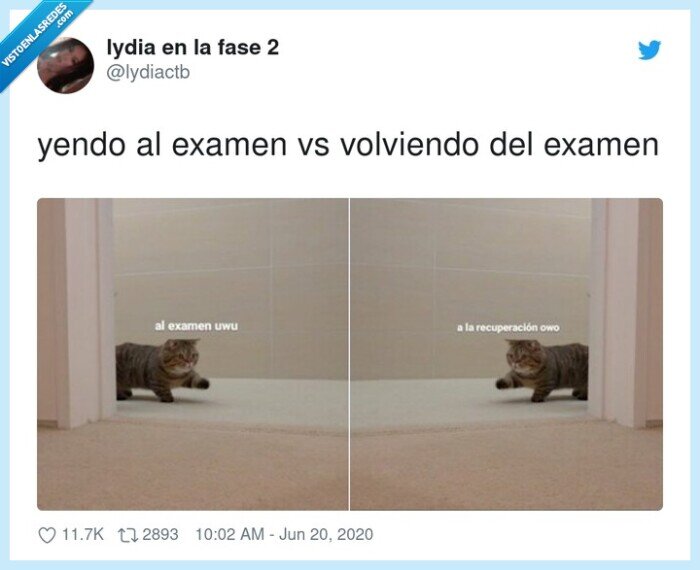 volver,examen,ir,fatal,recuperación