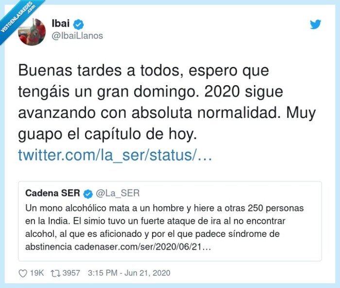 normalidad,capítulo,2020,absoluta,mono,alcoholico