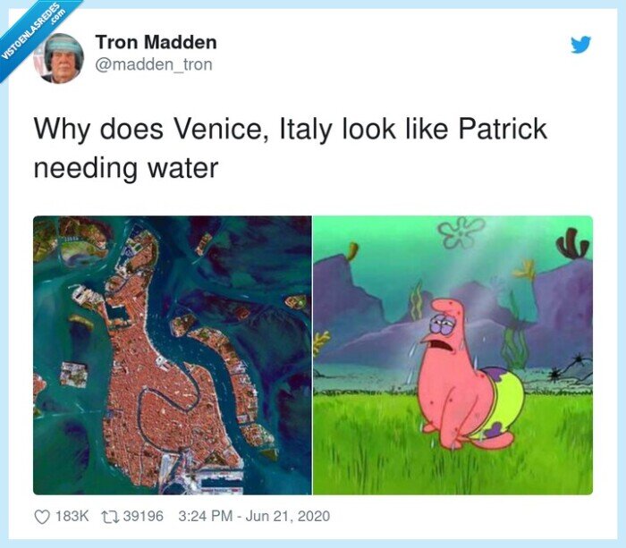 patricio,bob esponja,venecia