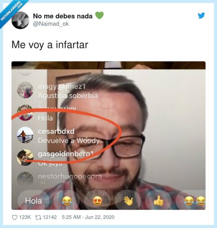 malo,toy story,woody,parecido