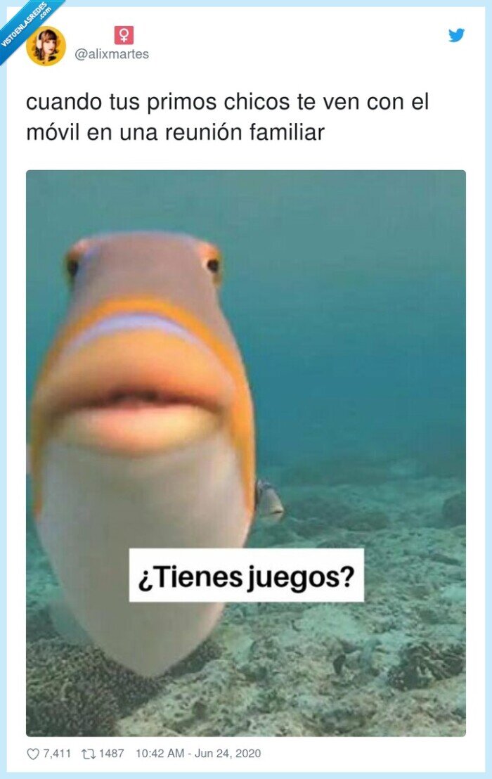 reunión familiar,primos,móvil