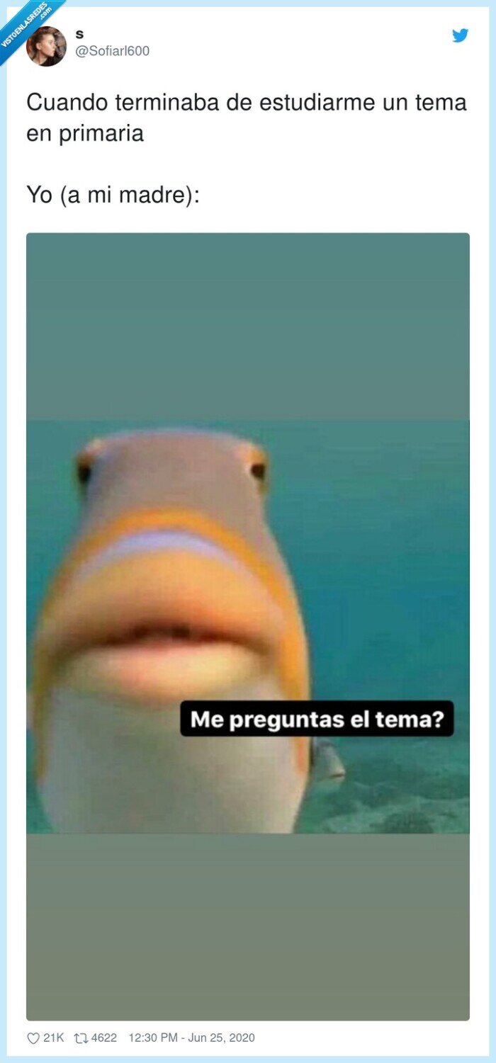 estudiar,terminar,primaria,preguntar,madre,tema