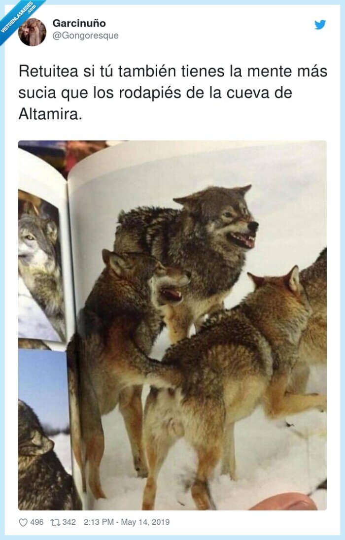 rodapiés,altamira,tienes,mente sucia,lobos