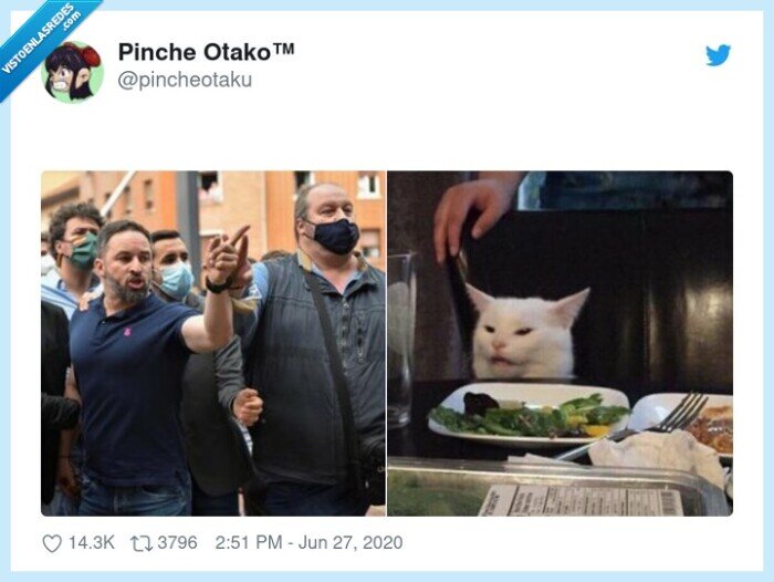 vox,gato,recelo,abascal