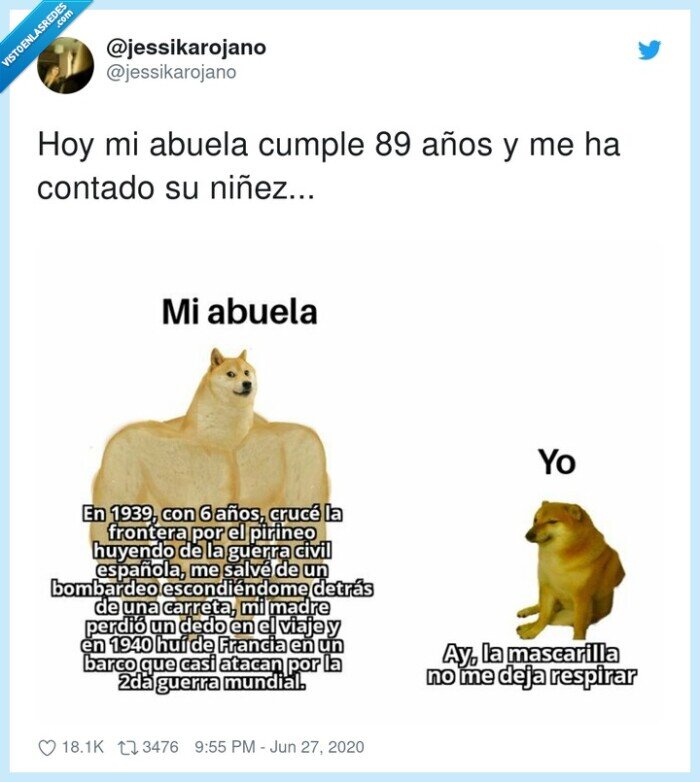 abuela,niños,luchar,cheems,doge