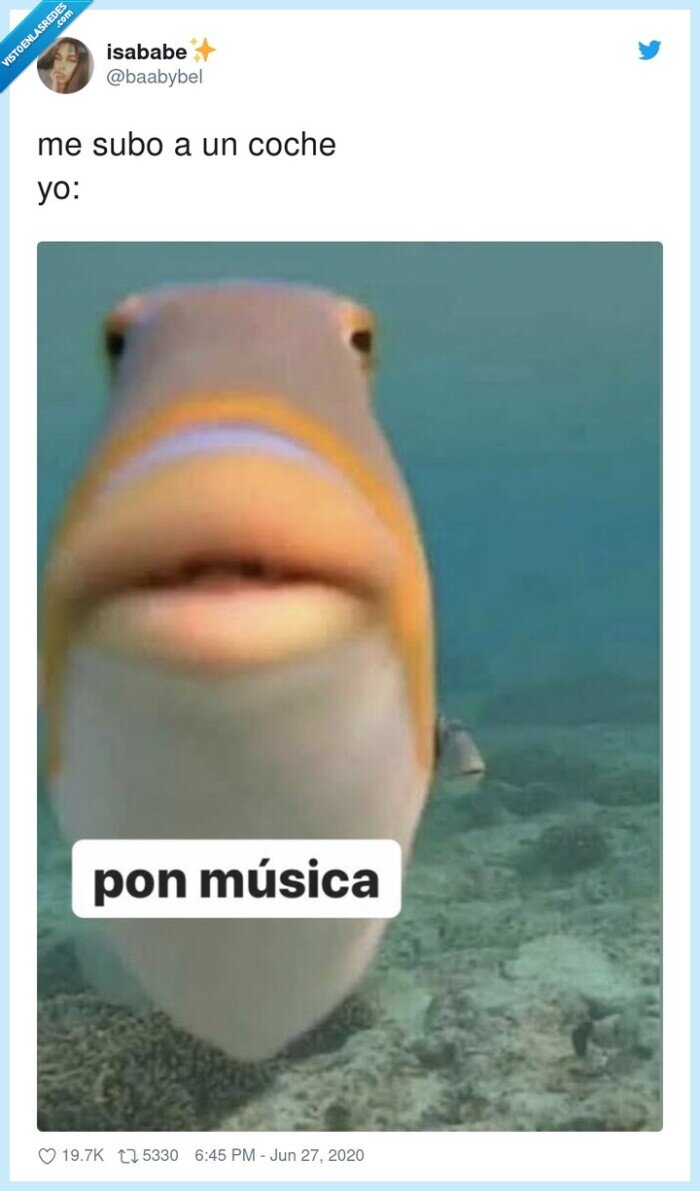 coche,subirse,música,pez