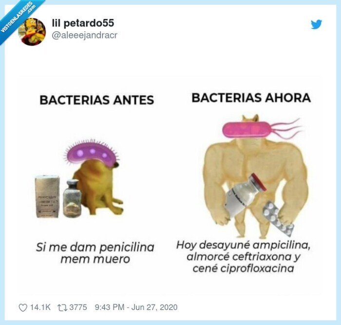 bacterias,cheems,doge