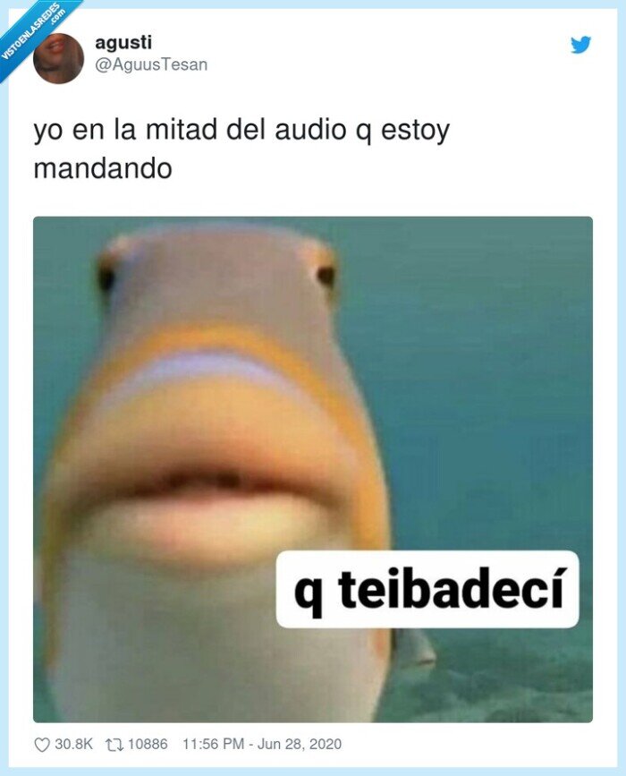 mandar,mitad,audio,olvidar