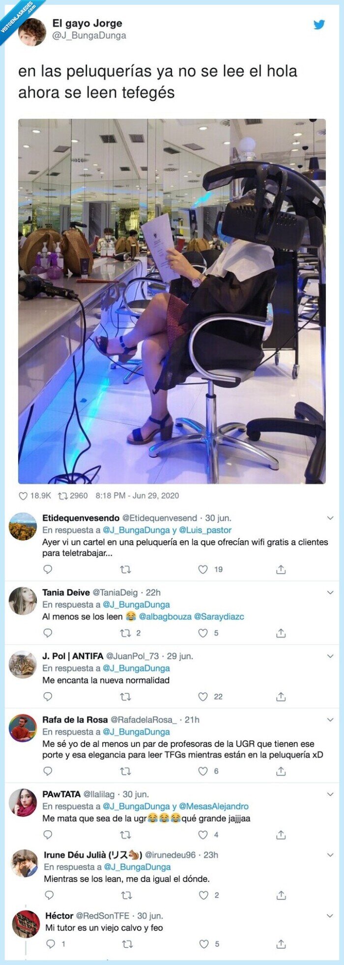 peluquerías,tefegés,leer,tfg,profesora