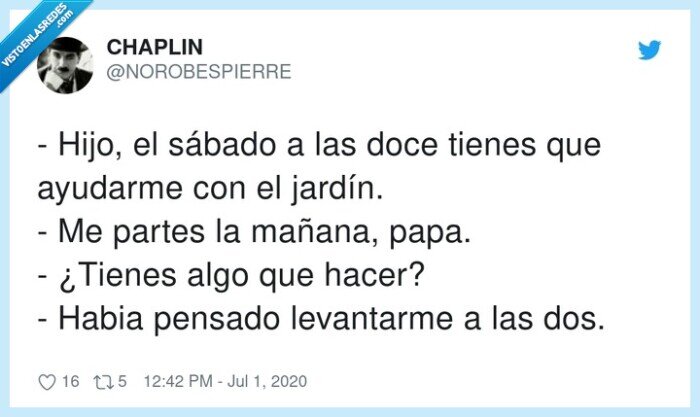 levantarme,mañana,ayudarme,hijo,vago,jardín,sábado