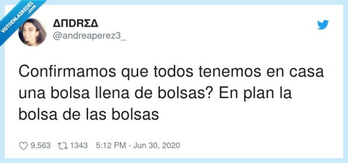 bolsas,casa,bolsa,llena