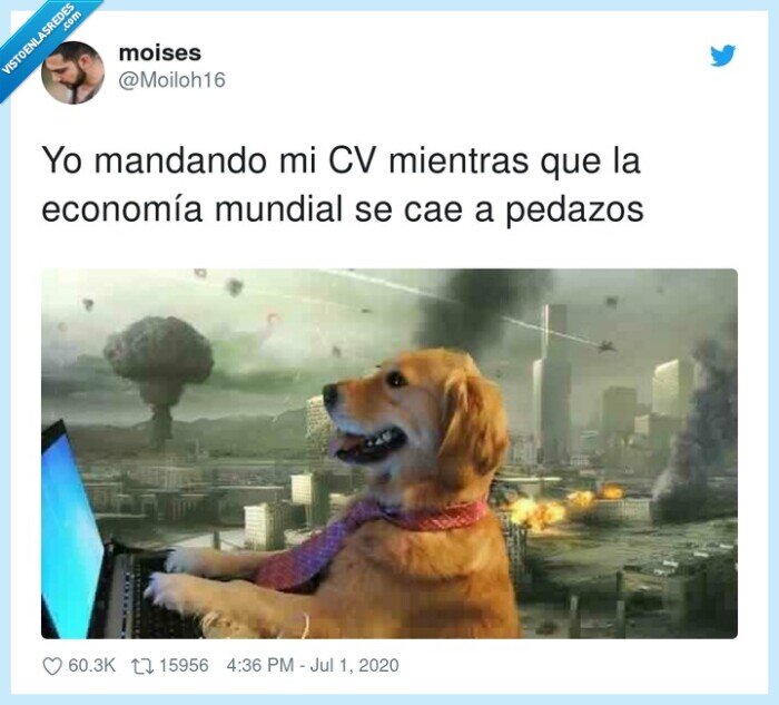 economía,mandando,mundial,currículum,cv