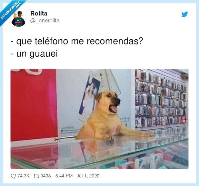 recomendación,teléfono,guauei,perro