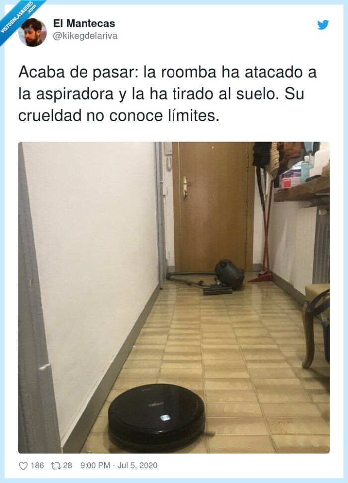 aspiradora,crueldad,límites,roomba