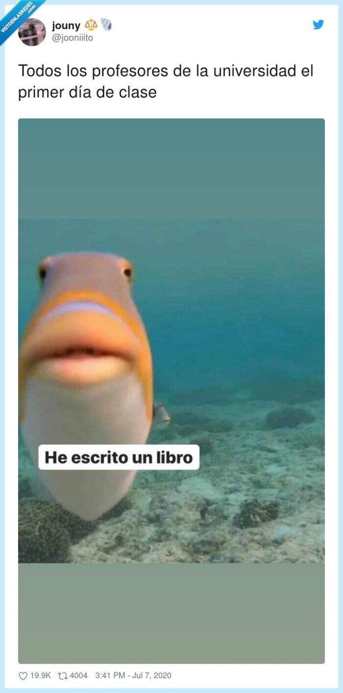 universidad,profesores,libro,primer,día