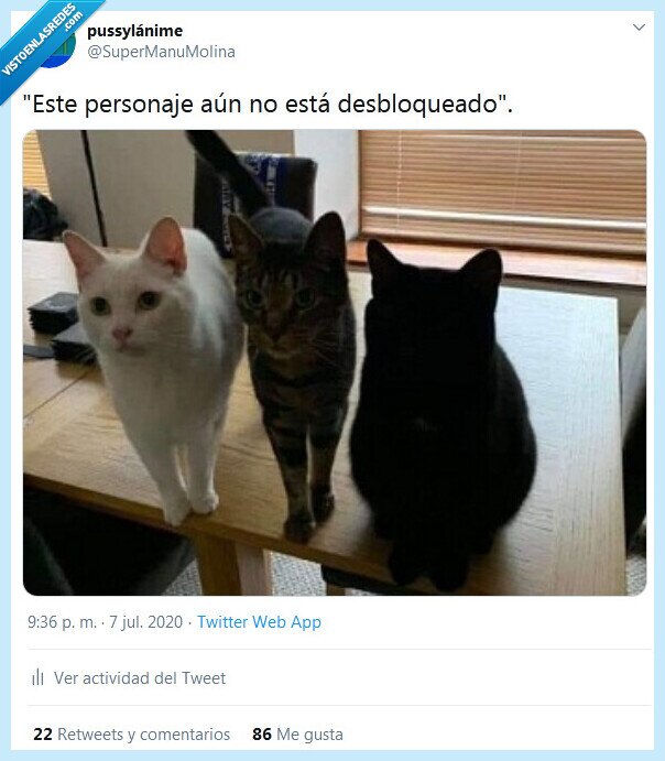 personaje,desbloquear,gatos