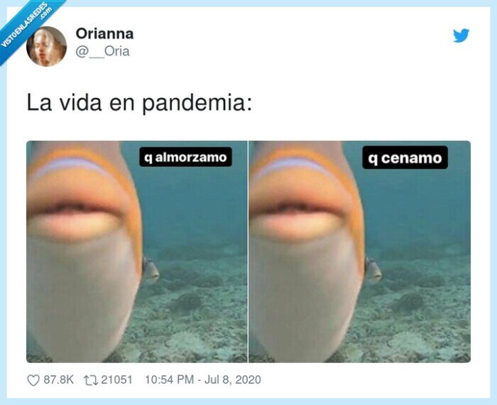 pandemia,vida,cuarentena,rutina