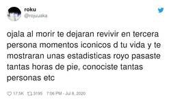 Enlace a O kills a insectos, por @rojuuaka