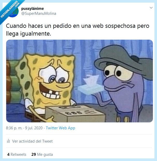 pedido,sospechosa,llegar,paquete,web,internet,online