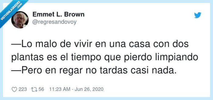 limpiando,plantas,tiempo,regar