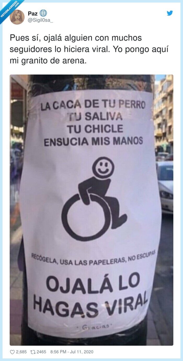 empatía,caca,perro,saliva,chicle,silla,ruedas