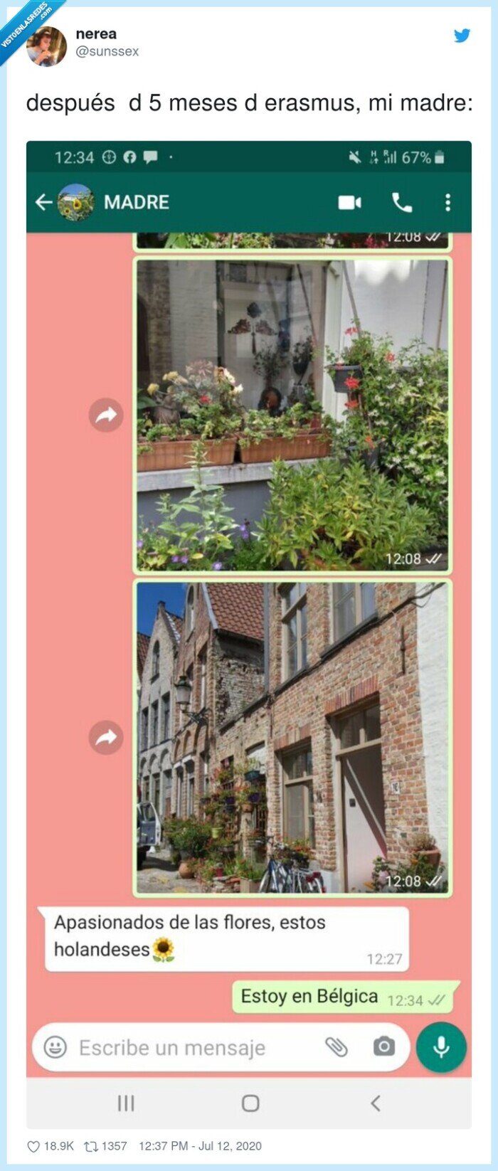 erasmus,meses,madre,flores,whatsapp