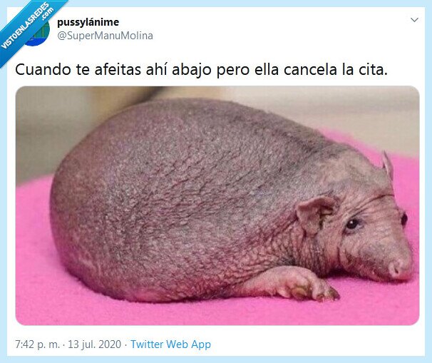 afeitar,cita,cancelar,partes