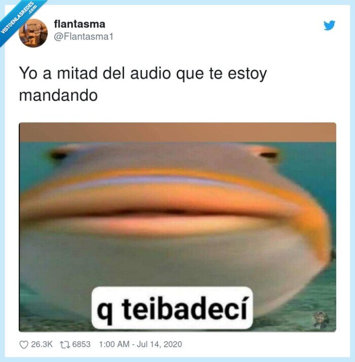 mandar,mitad,audio,olvidarse