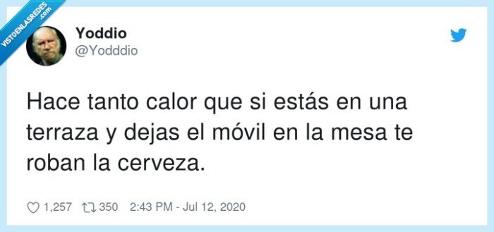 terraza,cerveza,estás,móvil,tanto,calor