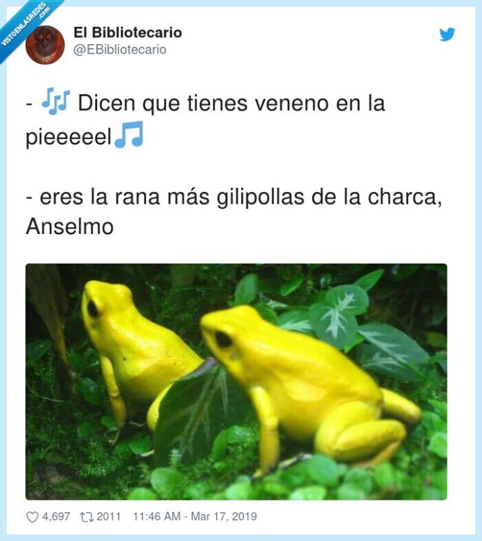 rana,anselmo,piel,veneno