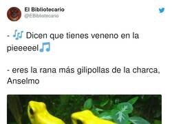 Enlace a Cuando Anselmo se arranca por buleria no hay quien lo pare, por @EBibliotecario