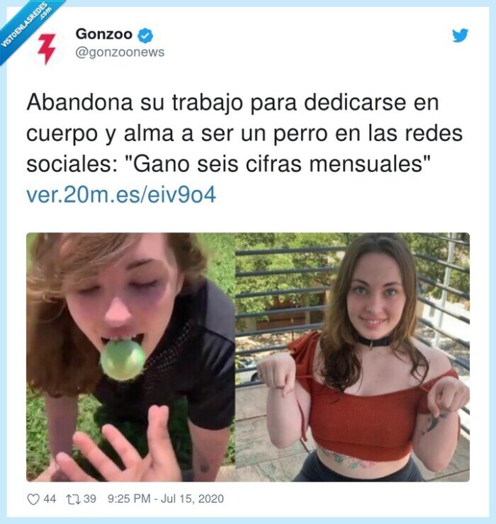 trabajo,perro,redes,sueldo,dinero