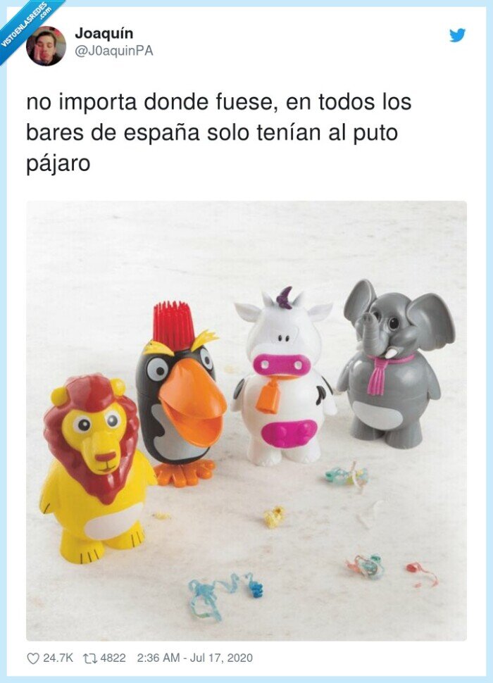 españa,helados,pingüino,pájaro