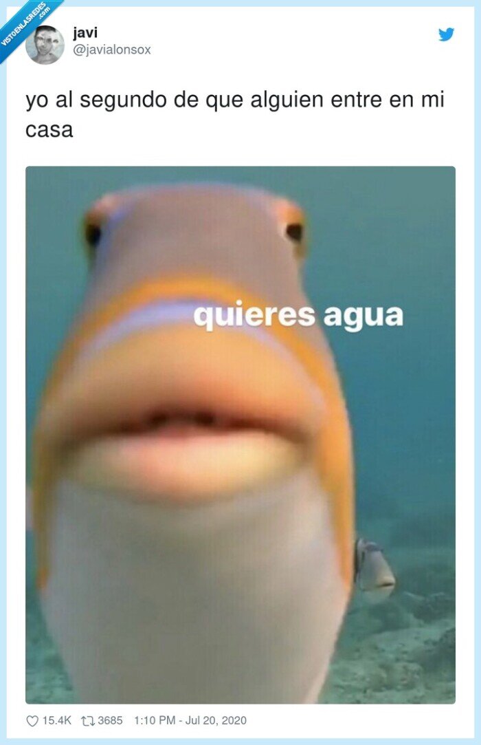 agua,casa,ofrecer,anfitrión