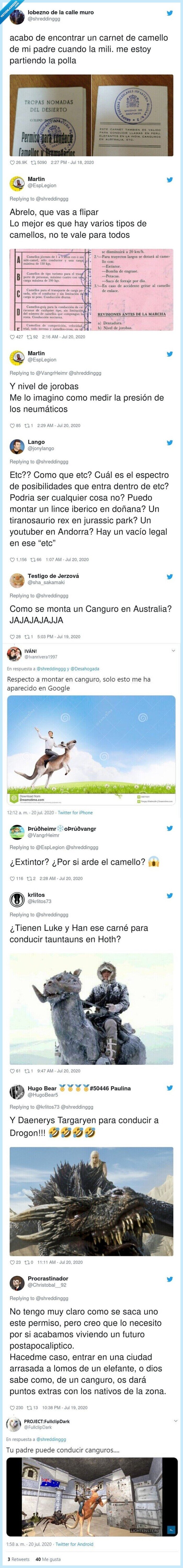 camellos,padre,carnet,conducir,animales,mili