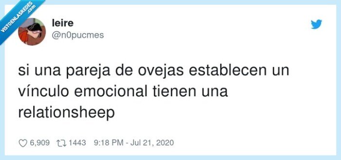 relationsheep,pareja,ovejas,relación