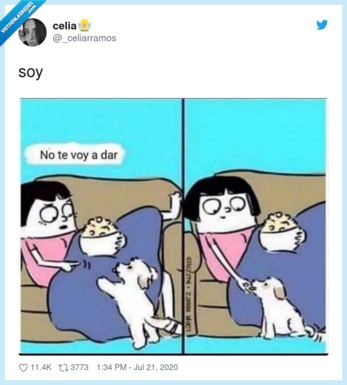 Perro,comida,autoridad,convicción,voluntad