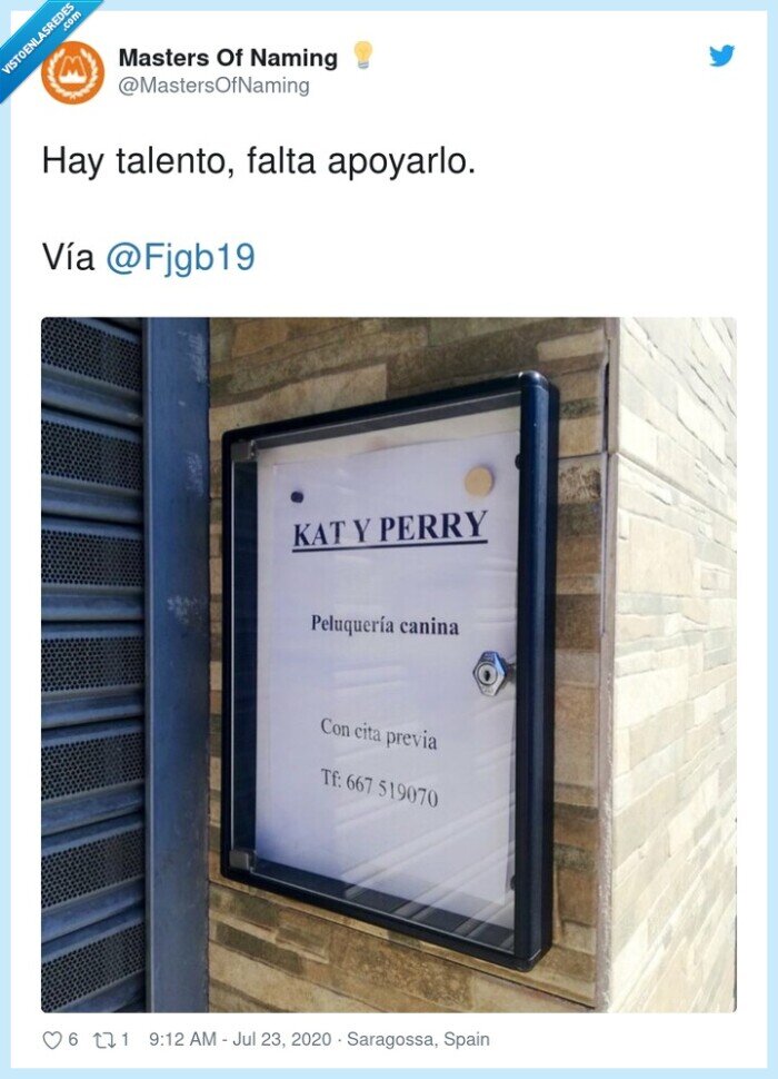 katy,perry,peluquería,canina,nombre,naming