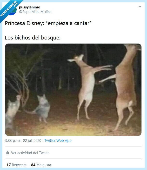 princesa,disney,cantar,bosque,animales