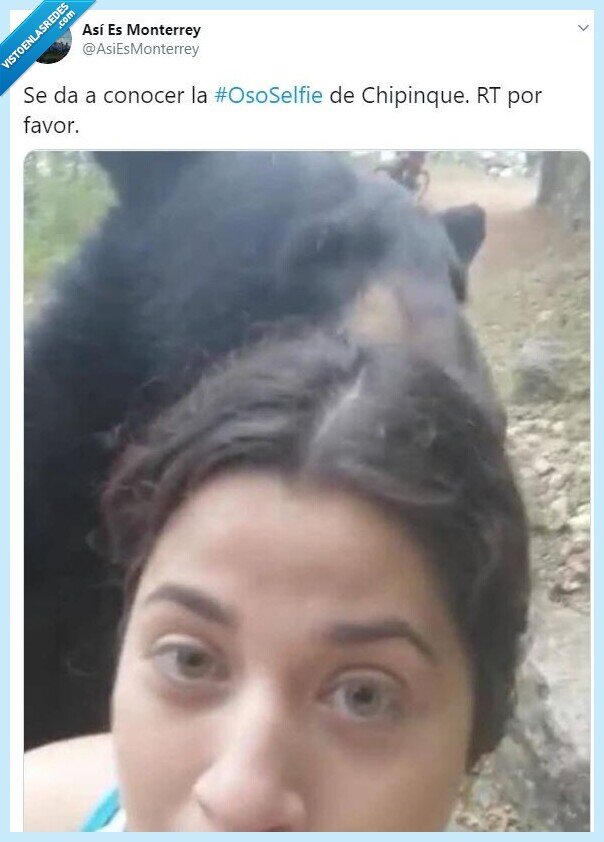 637860 - ¿Cómo reaccionar cuándo te aborda un oso de sopetón? Esta chica lo demuestra y encima acaba sacándose un selfie