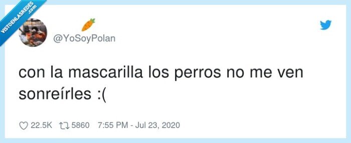 sonreir,mascarilla,perros