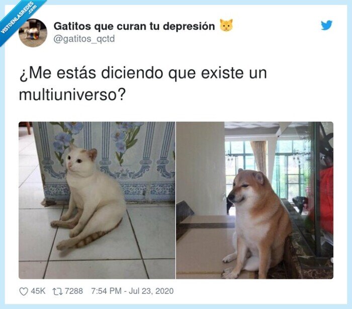 multiuniverso,perro,gato,meme