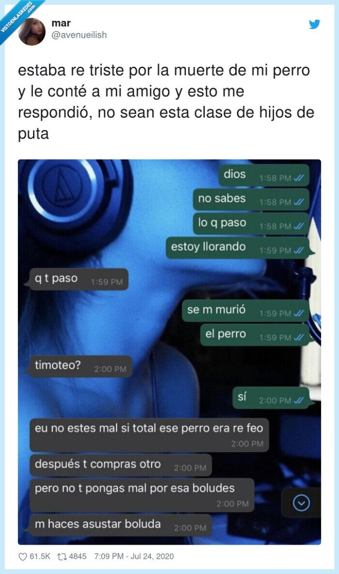 muerte,perro,respuesta,contestación,amigo