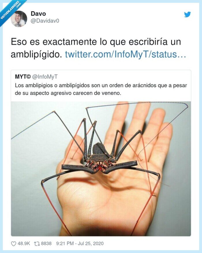 amblipígido,exactamente,escribiría