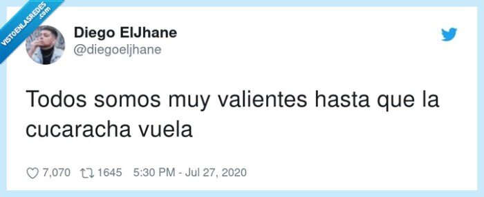 cucaracha,valientes,todos,volar