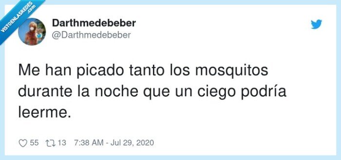 mosquitos,durante,podría,picado,leerme,tanto