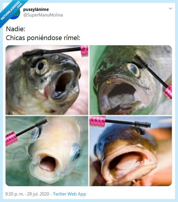 rímel,chicas,pescados,maquillaje